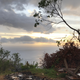 Overlook from Simon Walsh’s house in Dominica. All images: Andrew Thaler